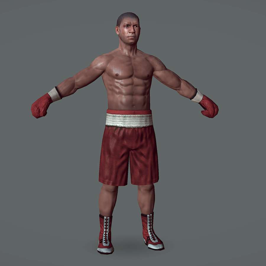 Boxer v1 Low-poly 3D model_2