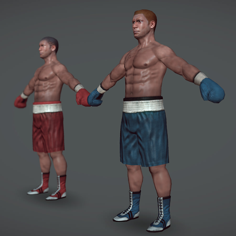 Boxer v1 Low-poly 3D model_1