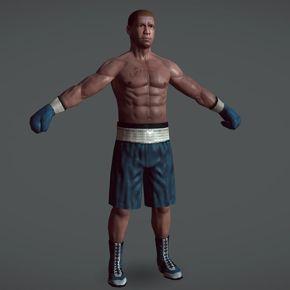 Boxer v1 Low-poly 3D model_5