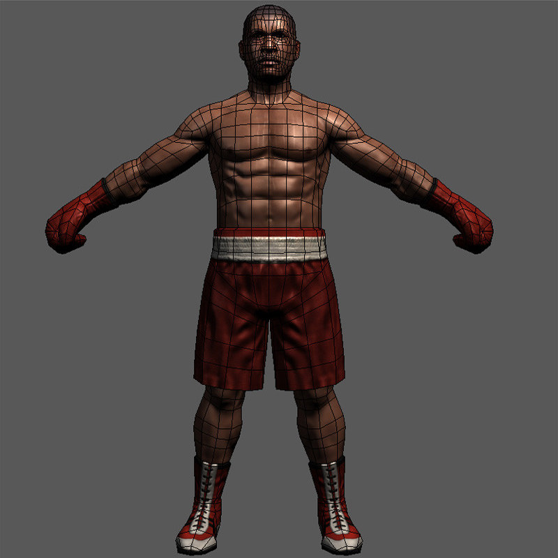 Boxer v1 Low-poly 3D model_8
