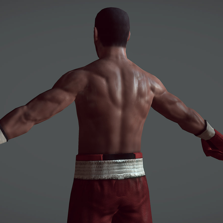 Boxer v1 Low-poly 3D model_6