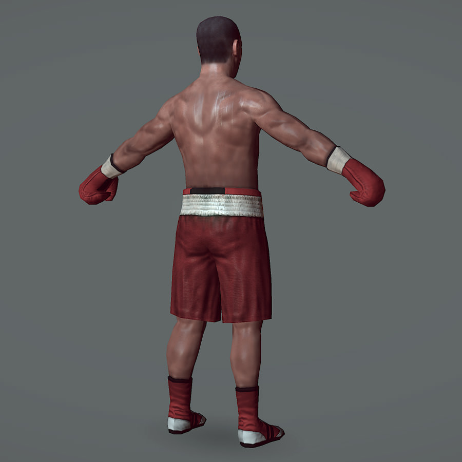 Boxer v1 Low-poly 3D model_3