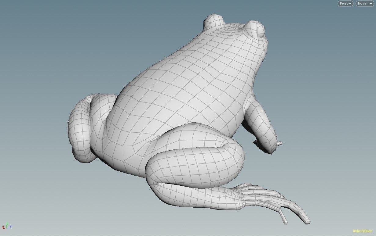 Frog basemesh version B - 5 k tris Low-poly 3D model_5