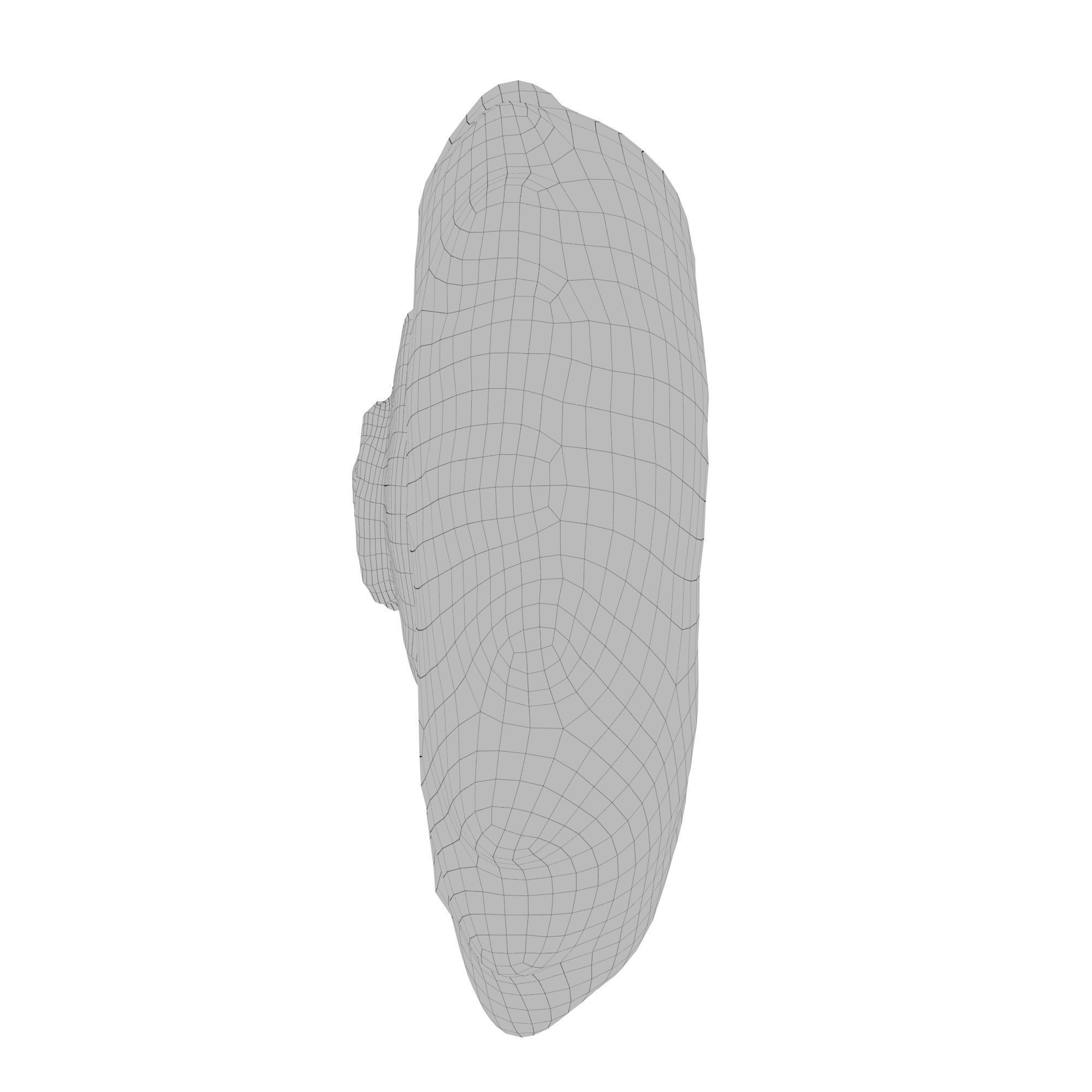 Photorealistic lowpoly shell  Low-poly 3D model_13