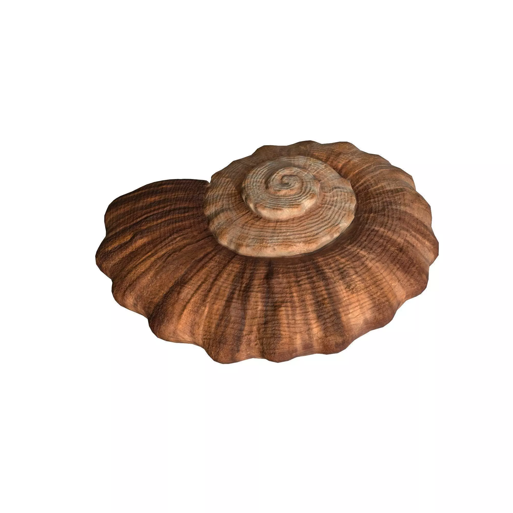 Photorealistic lowpoly shell  Low-poly 3D model_0