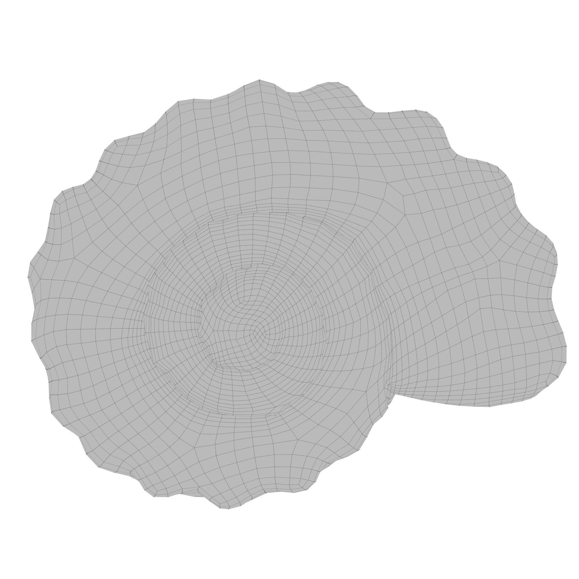 Photorealistic lowpoly shell  Low-poly 3D model_12