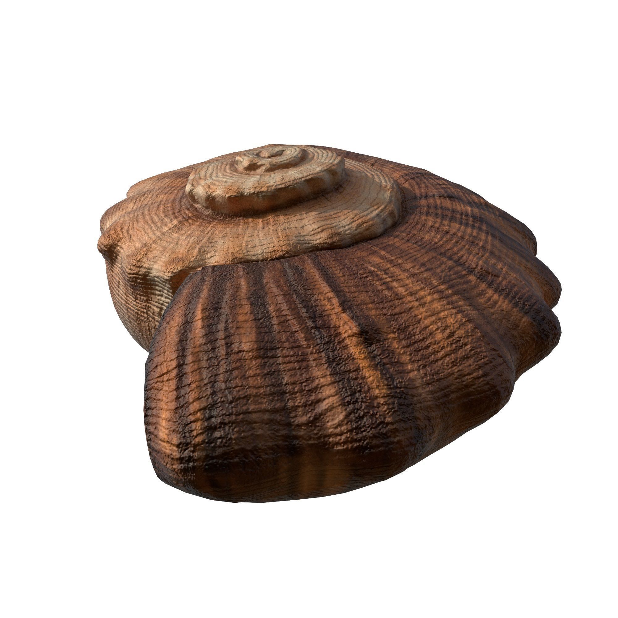 Photorealistic lowpoly shell  Low-poly 3D model_3