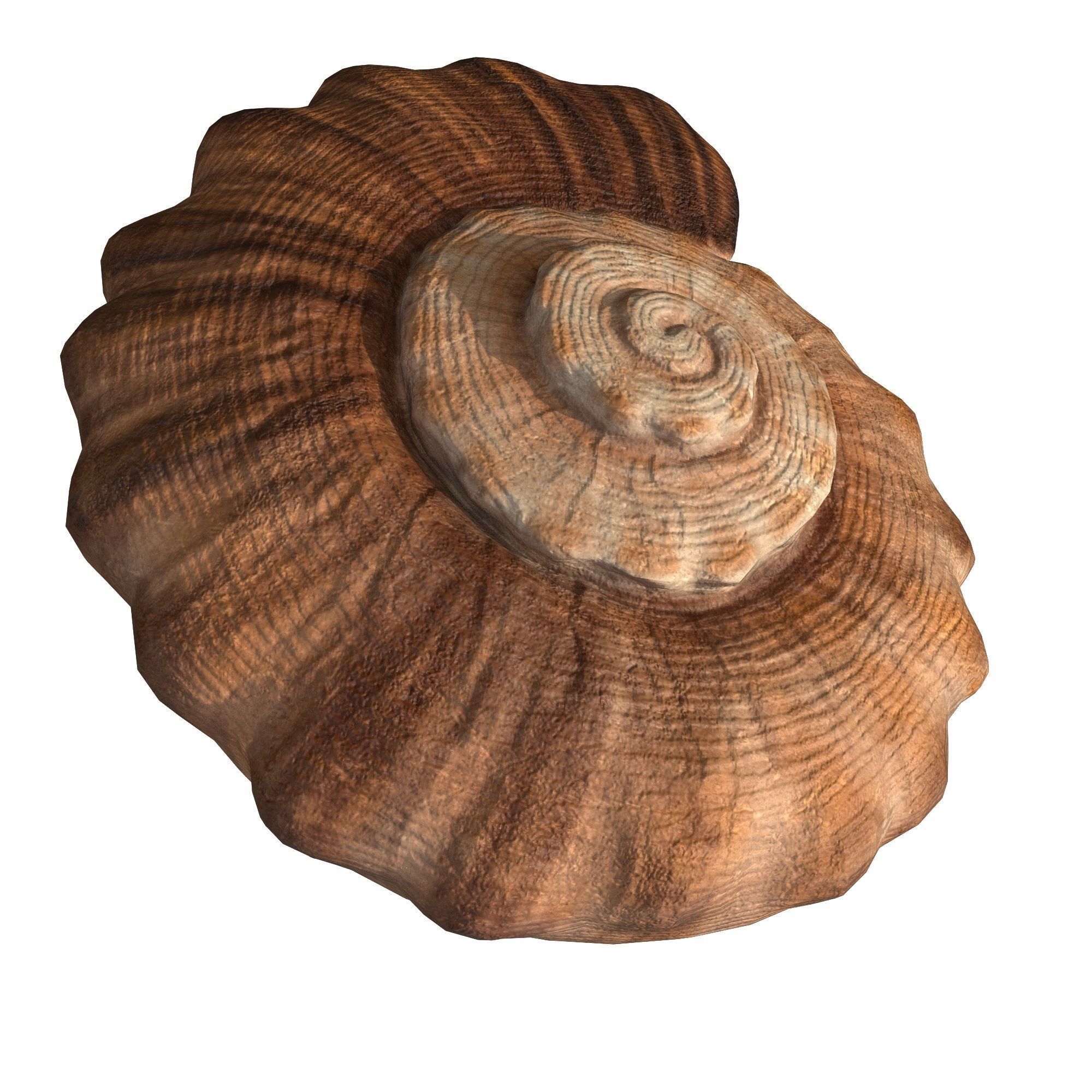 Photorealistic lowpoly shell  Low-poly 3D model_6