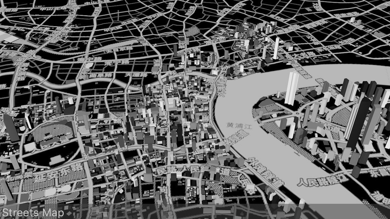 Shanghai Streets and Buildings 3D model_13