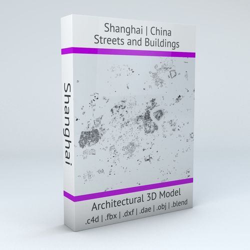 Shanghai Streets and Buildings 3D model