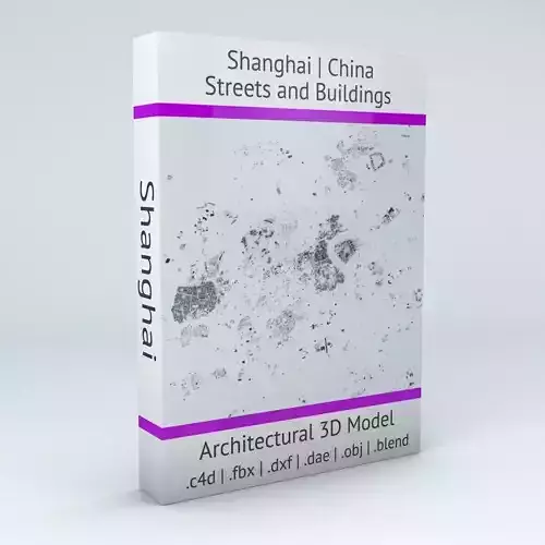 Shanghai Streets and Buildings 3D model