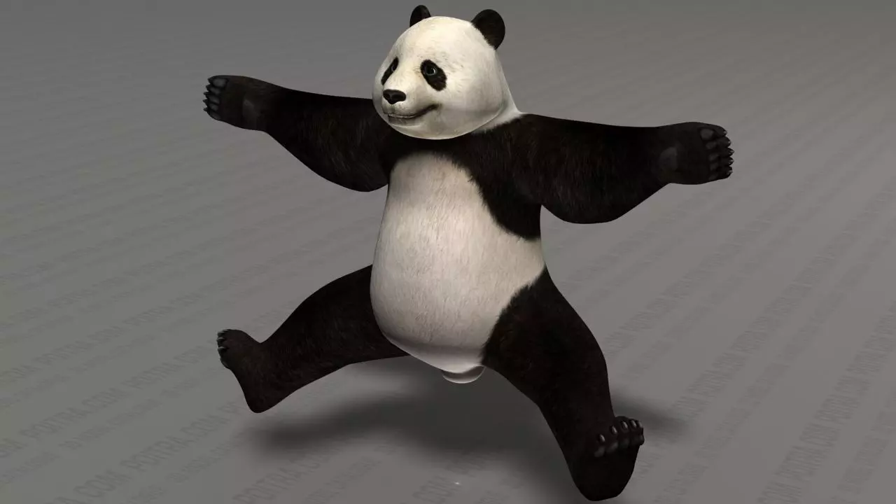 Giant Panda Bear - Ailuropoda Melanoleuca - Bamboo Bear 3D model