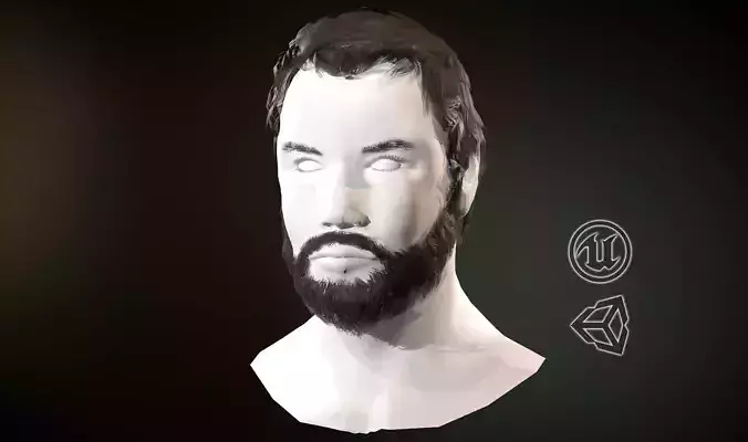 Hair and Beard Cards Man Low-poly 3D model