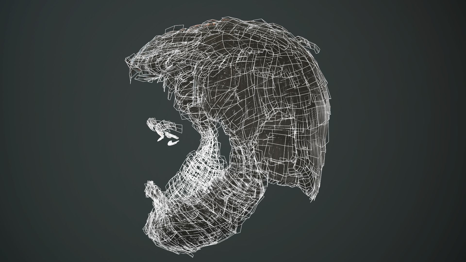 Hair and Beard Cards Man Low-poly 3D model_38