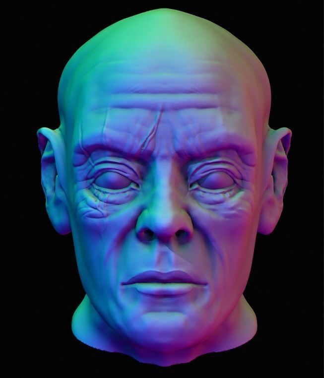 3D model Male Human Head | CGTrader