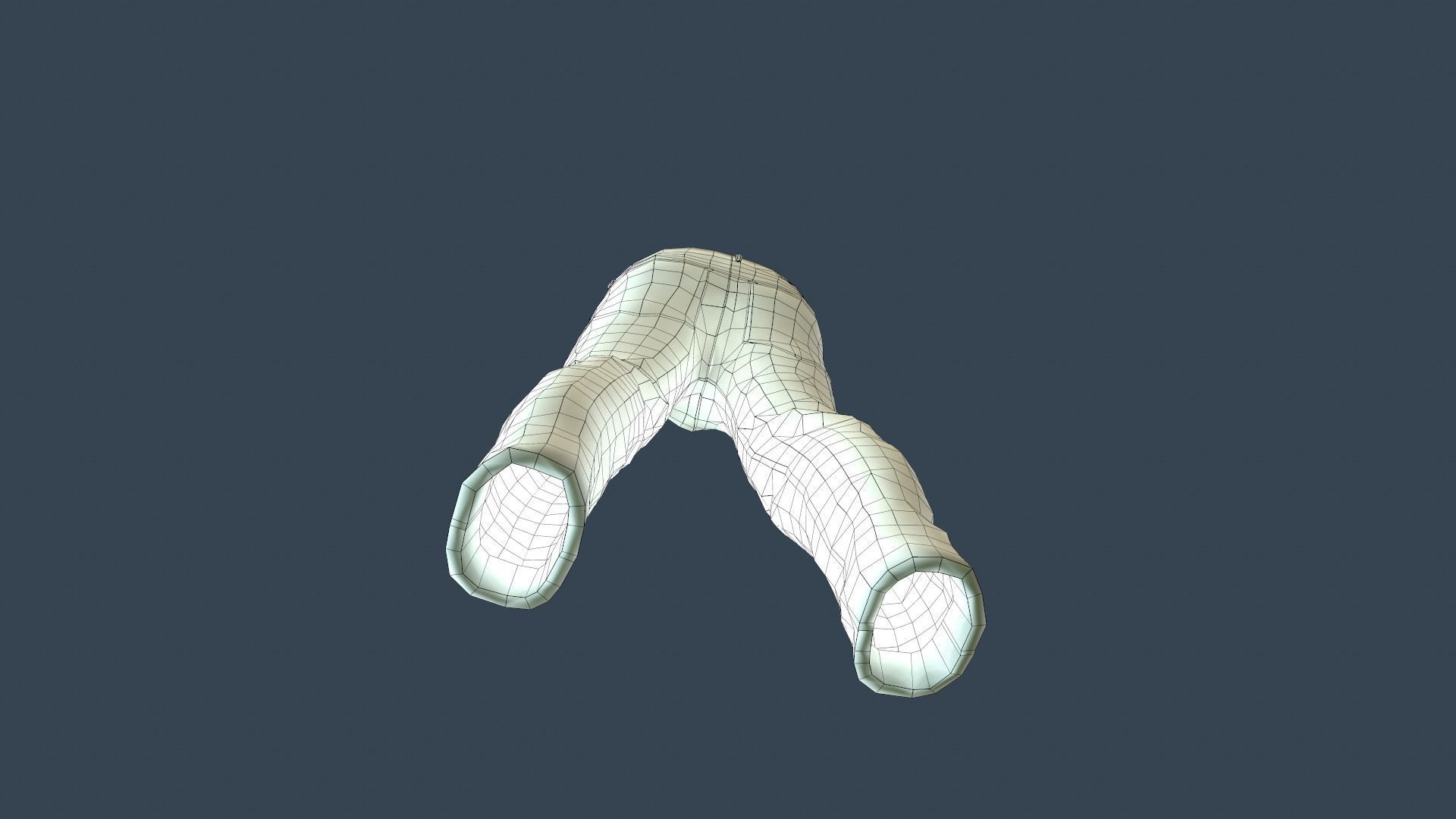 Gray Jeans Pants Low-poly 3D model_32