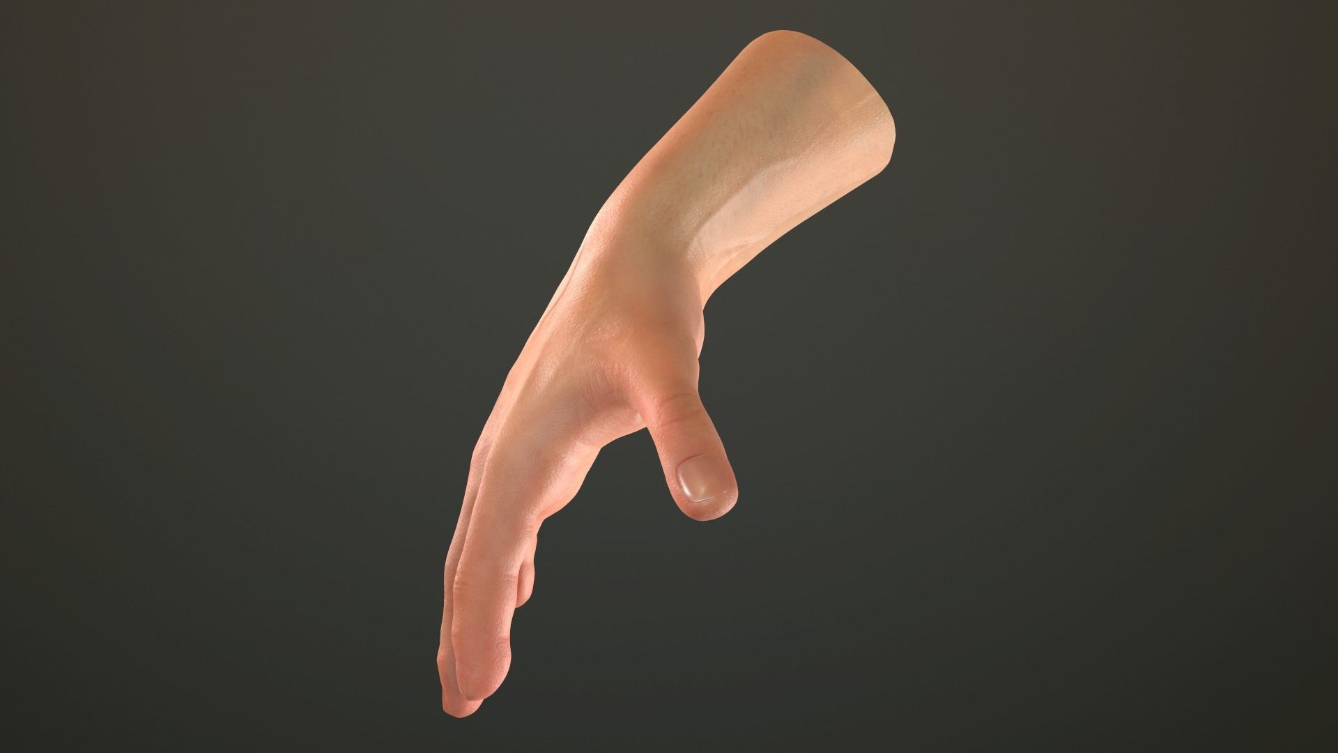 Male Hand Rigged  Low-poly 3D model_25