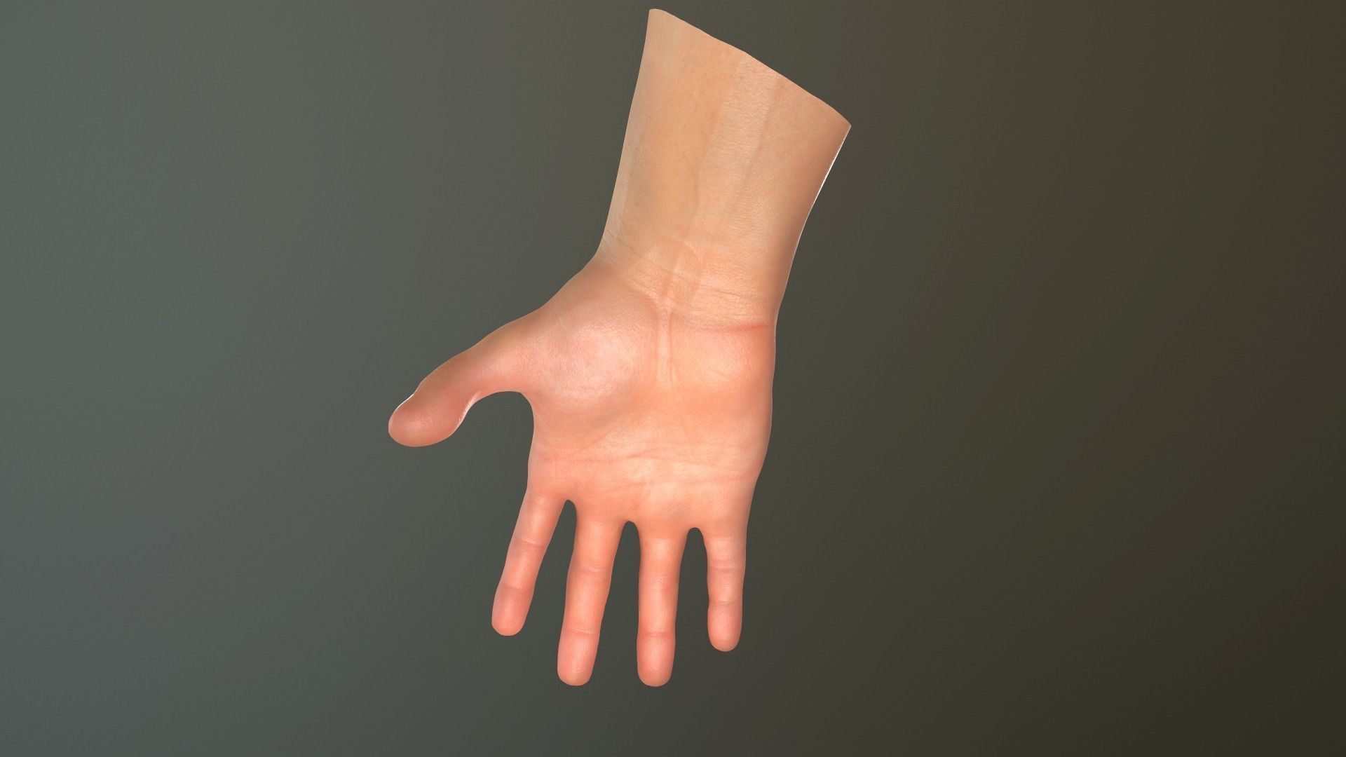 Male Hand Rigged  Low-poly 3D model_26