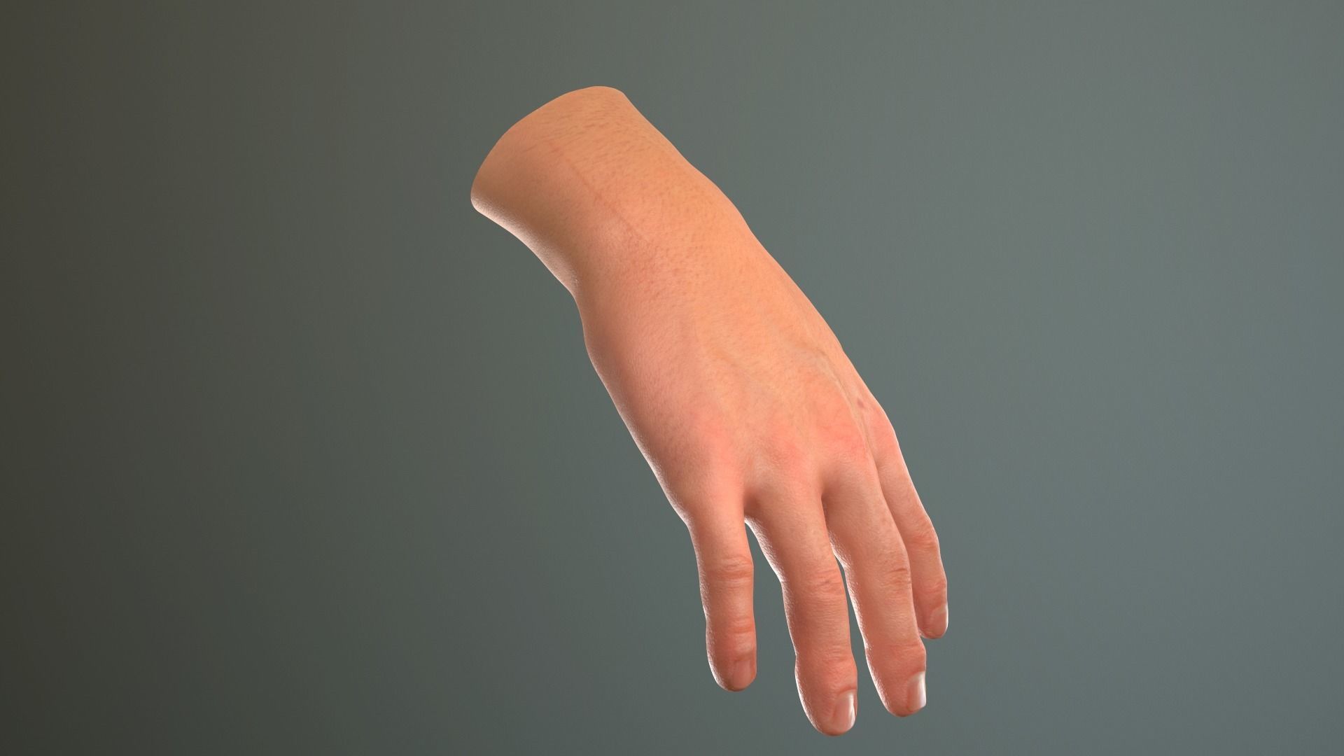Male Hand Rigged  Low-poly 3D model_27