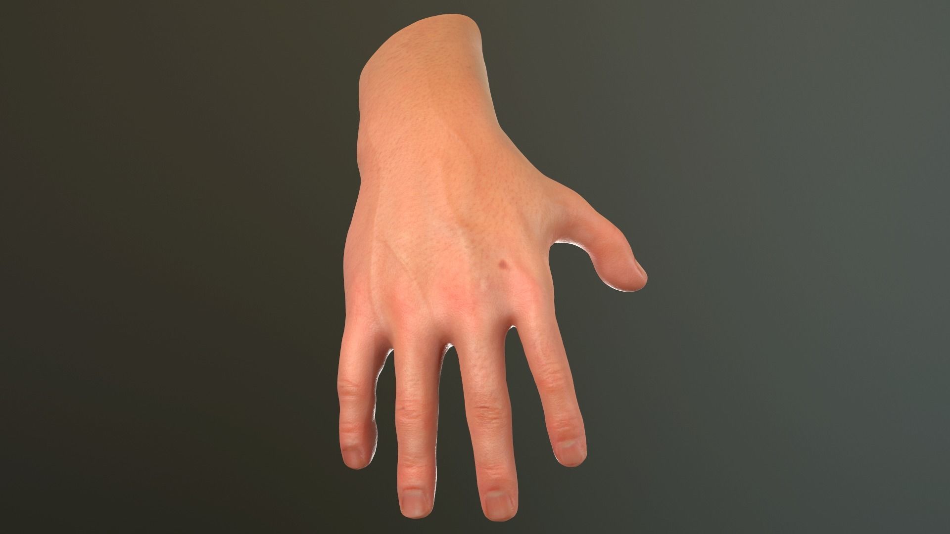 Male Hand Rigged  Low-poly 3D model_5