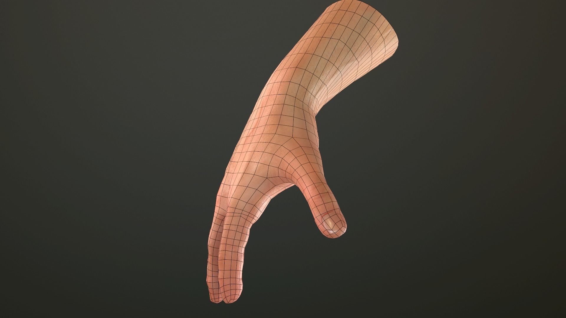 Male Hand Rigged  Low-poly 3D model_30