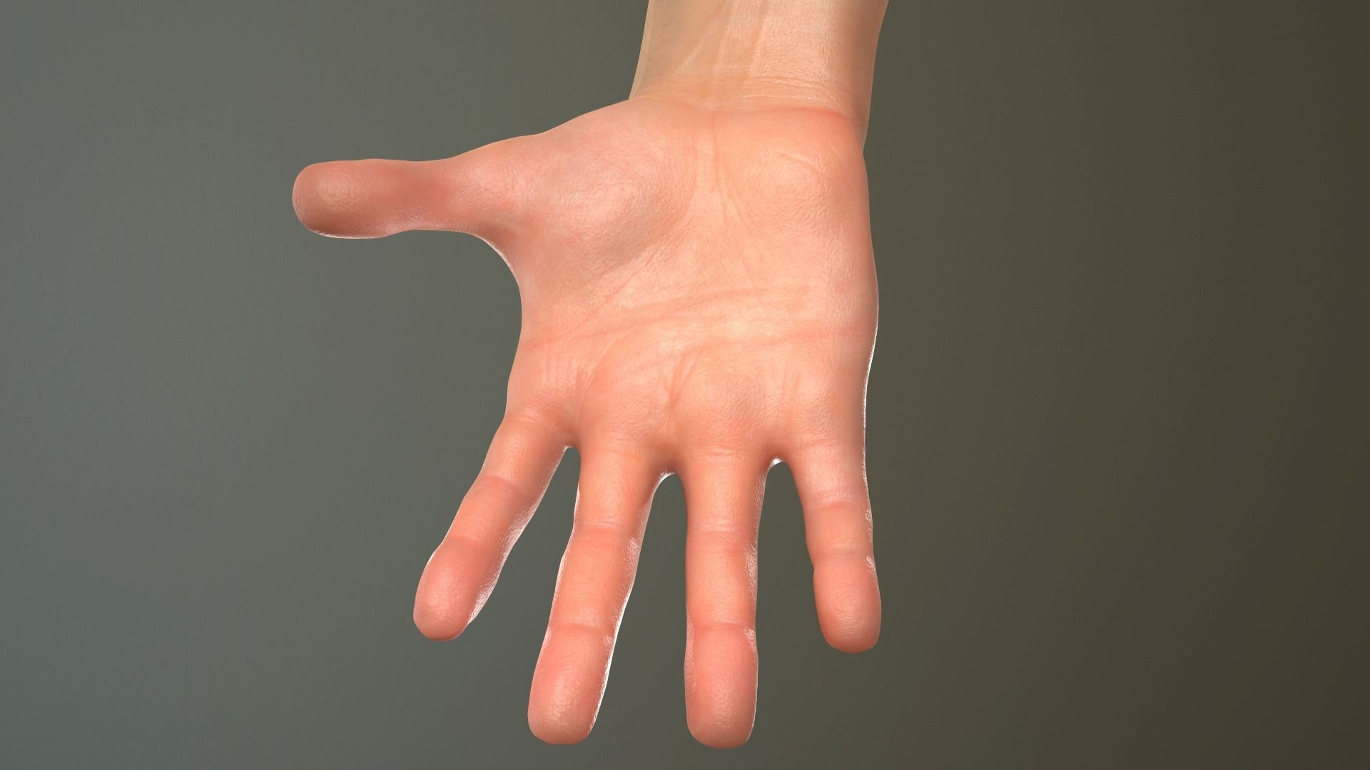Male Hand Rigged  Low-poly 3D model_14