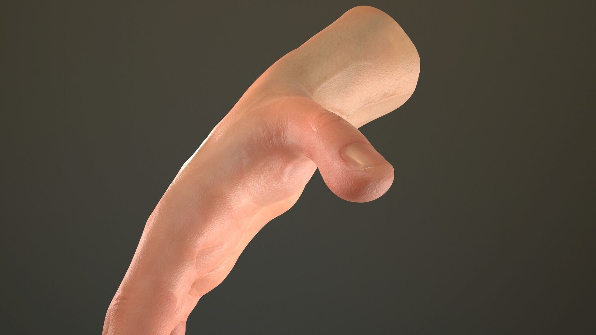 Male Hand Rigged  Low-poly 3D model_22