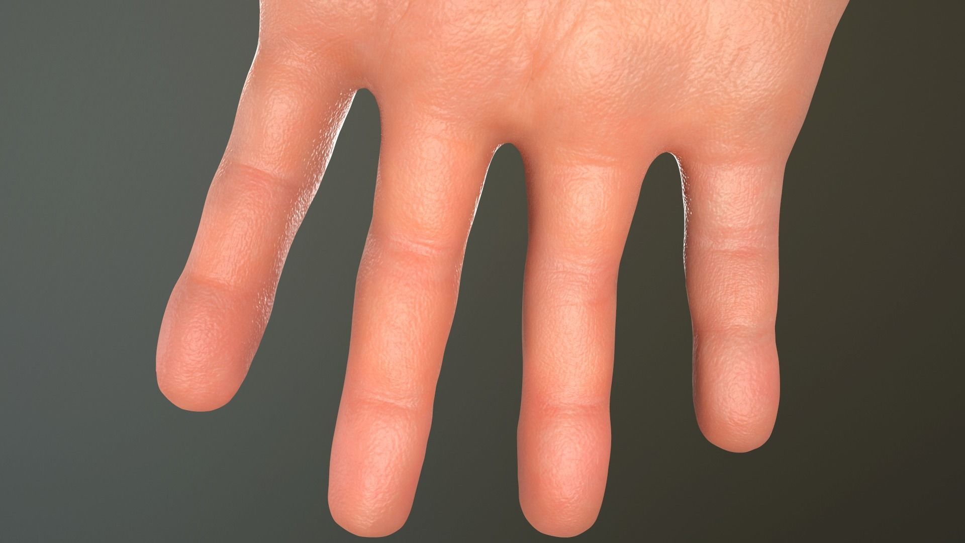 Male Hand Rigged  Low-poly 3D model_18