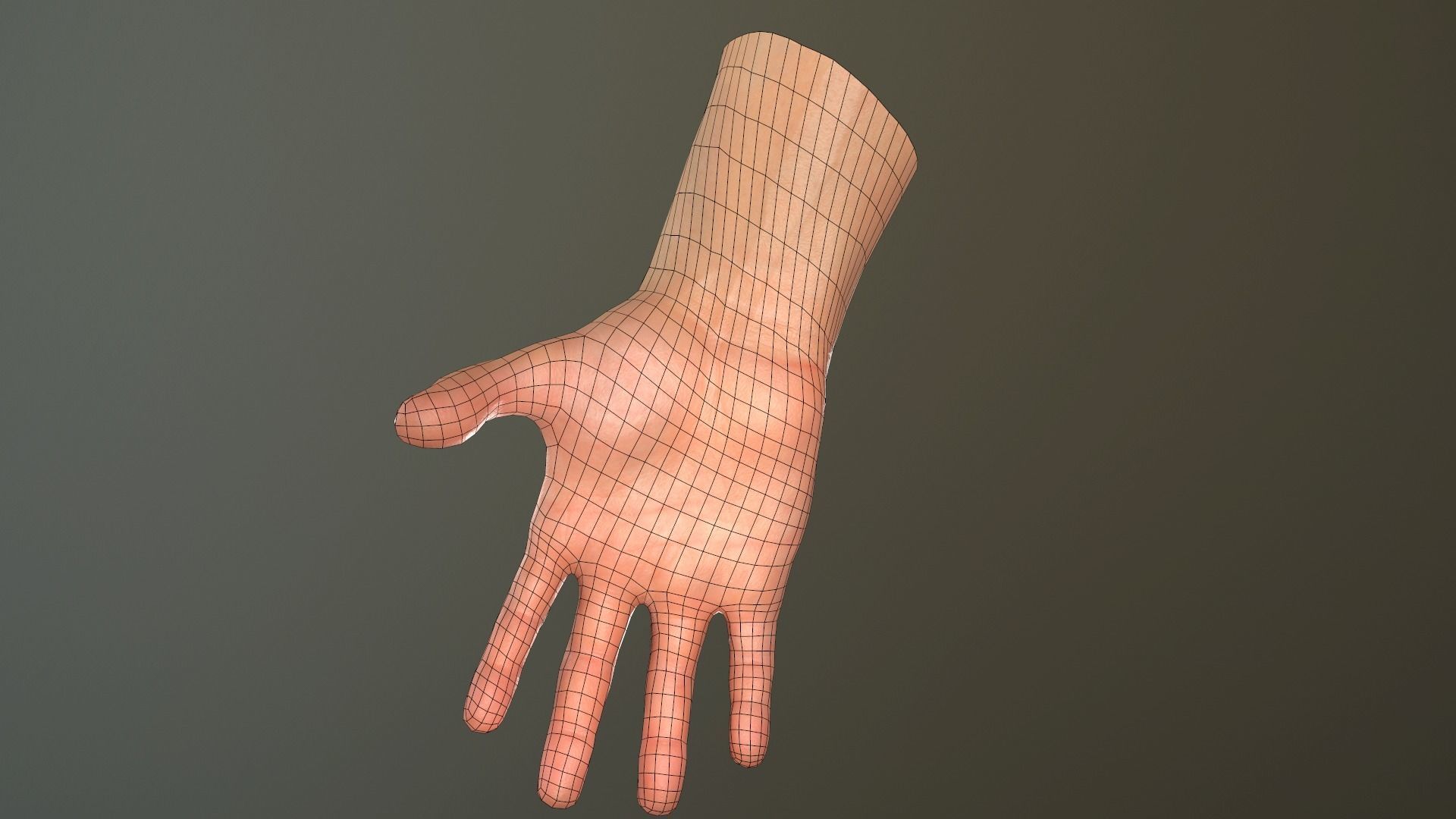 Male Hand Rigged  Low-poly 3D model_33