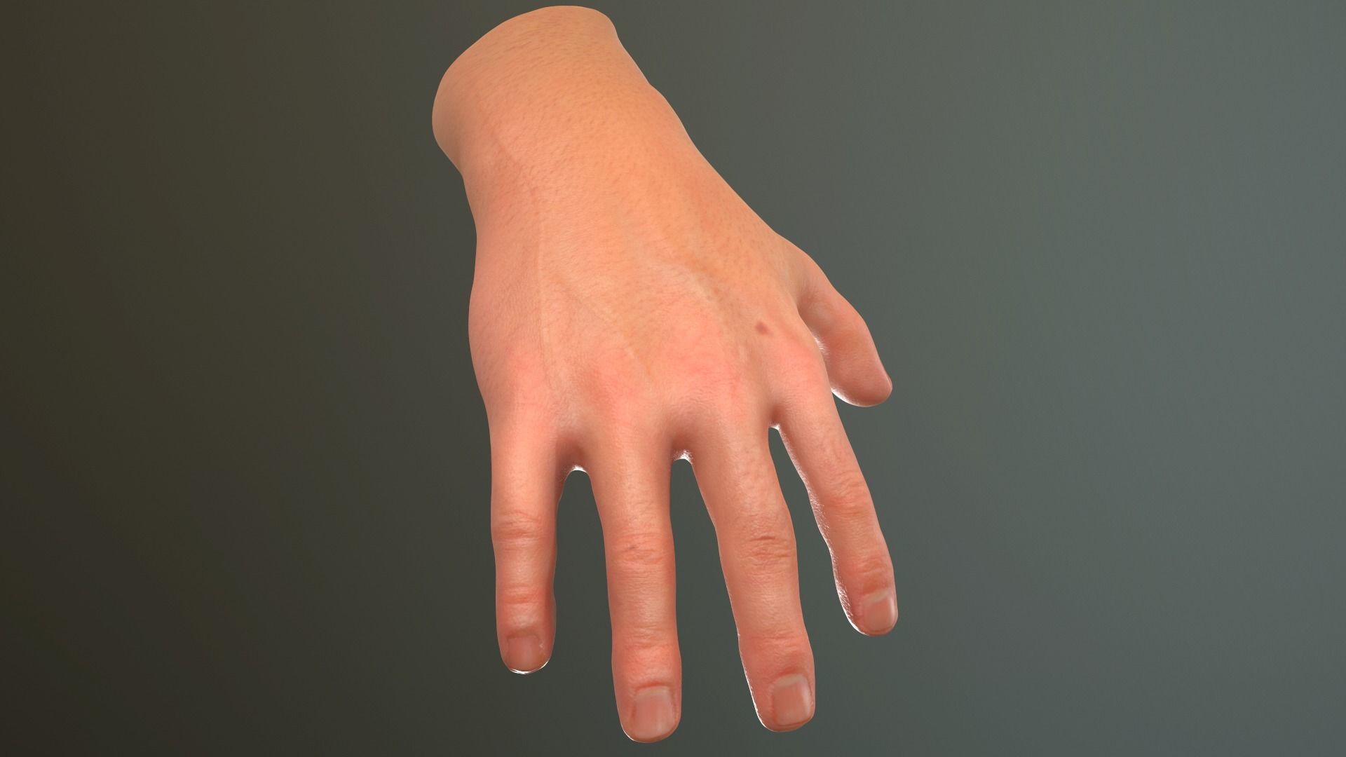 Male Hand Rigged  Low-poly 3D model_4