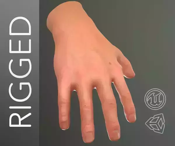 Male Hand Rigged  Low-poly 3D model