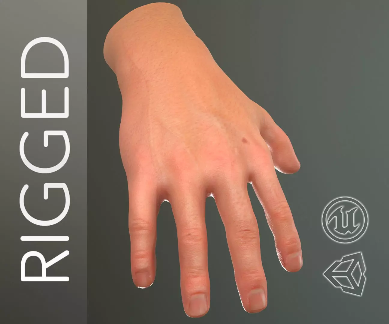 Male Hand Rigged  Low-poly 3D model_0