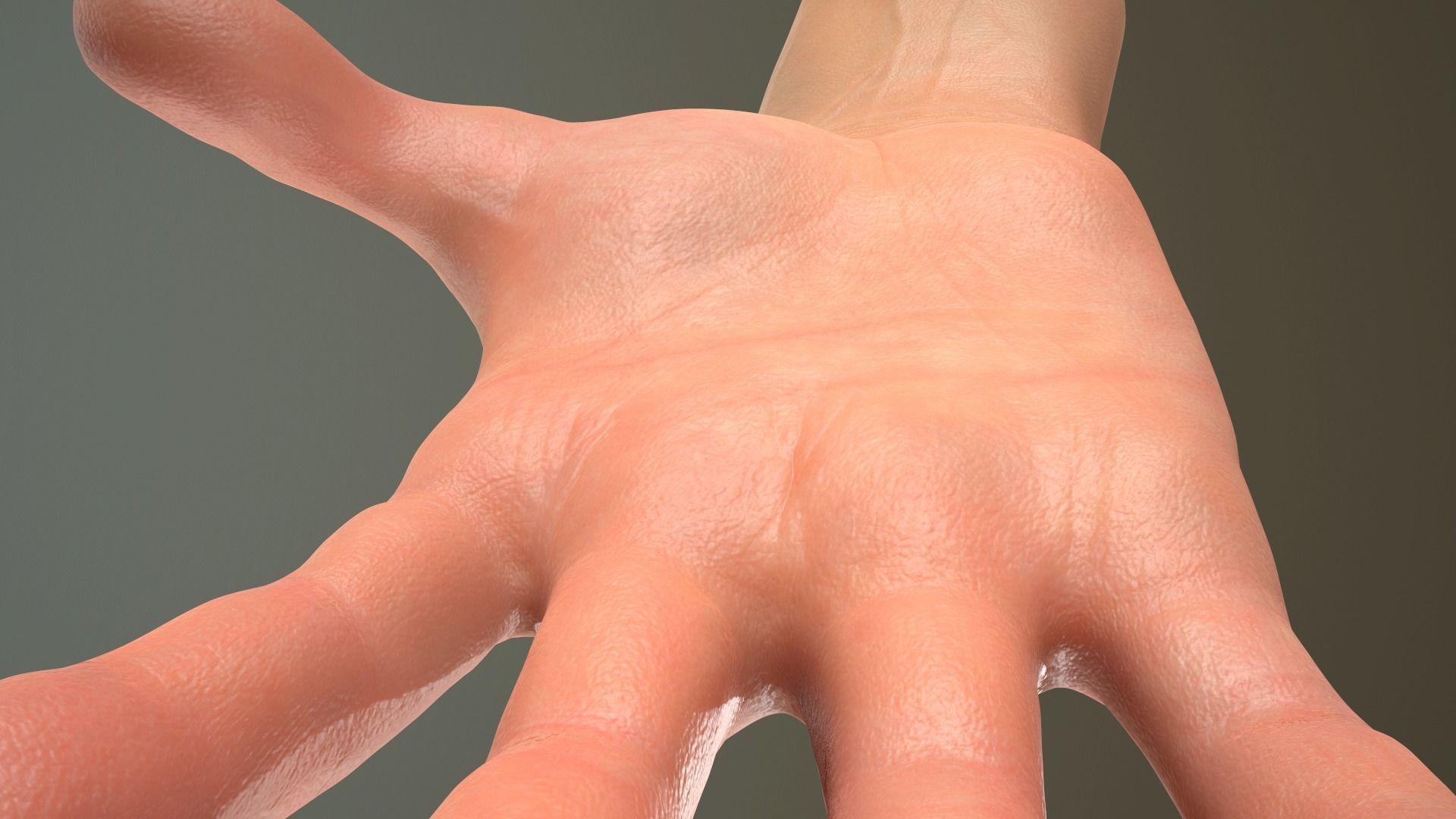 Male Hand Rigged  Low-poly 3D model_15