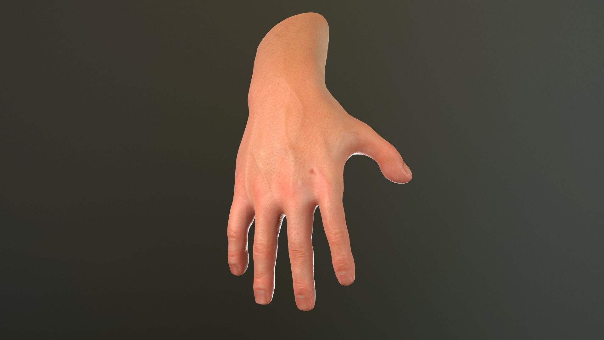 Male Hand Rigged  Low-poly 3D model_24
