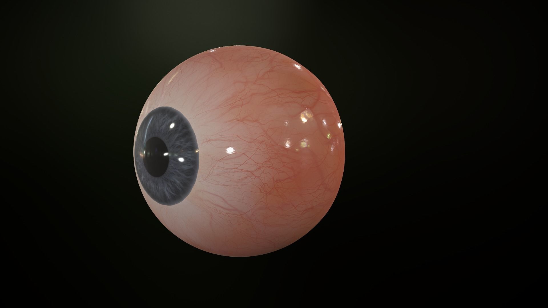 Realistic Human Eye Low-poly 3D model_24