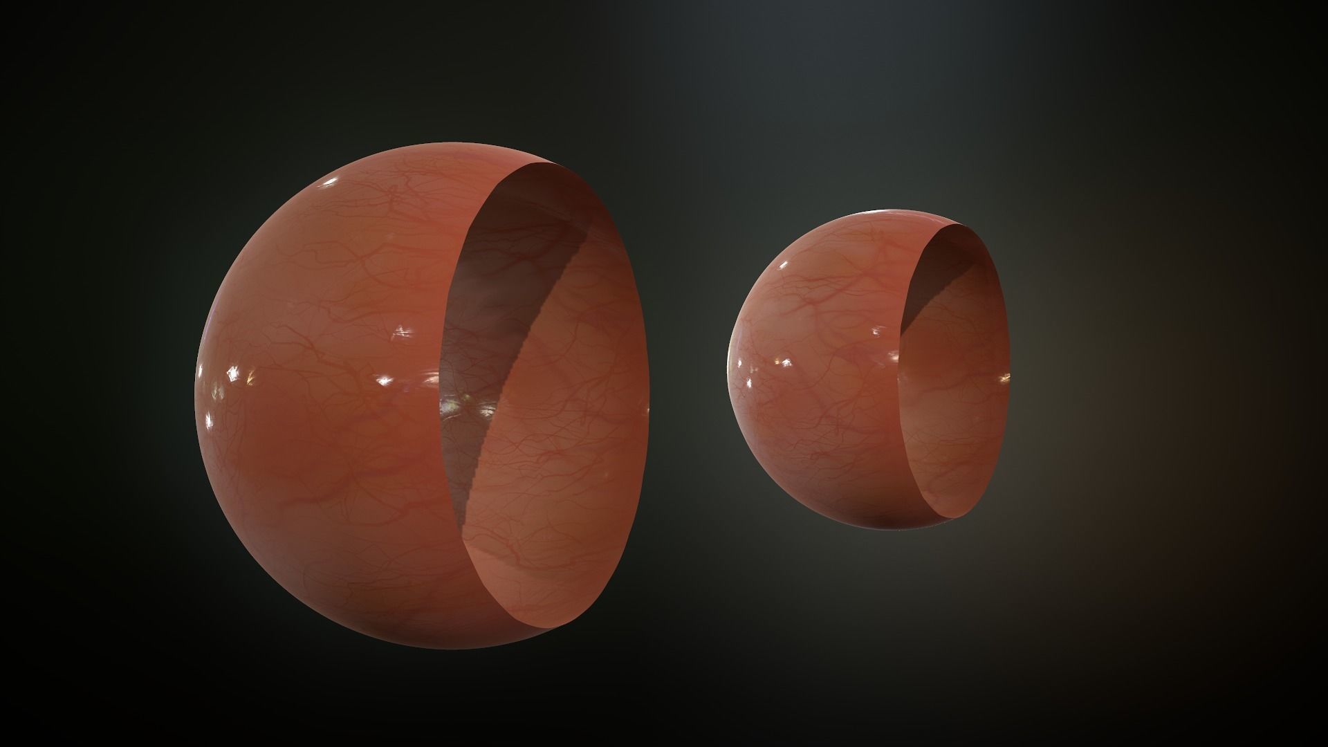 Realistic Human Eye Low-poly 3D model_8