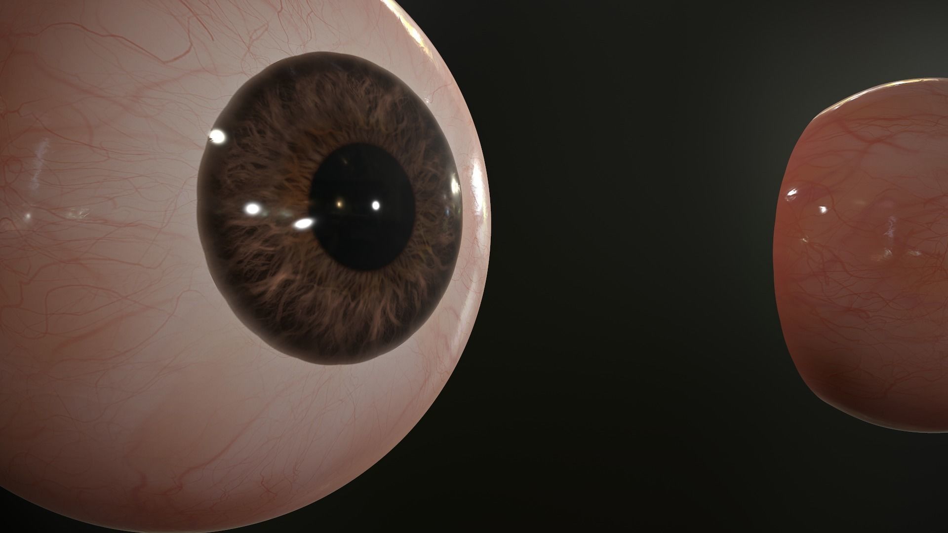 Realistic Human Eye Low-poly 3D model_12