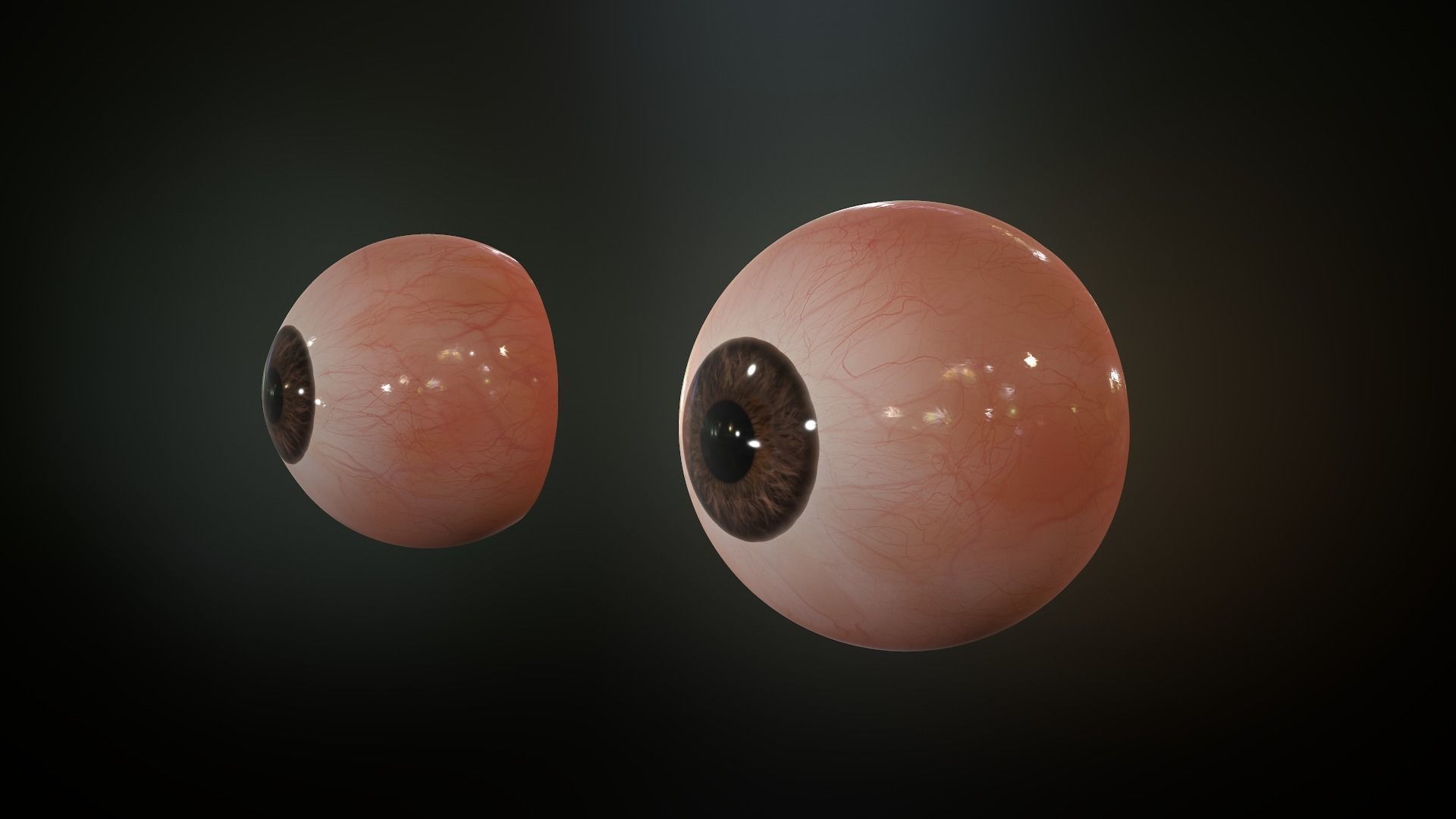 Realistic Human Eye Low-poly 3D model_9