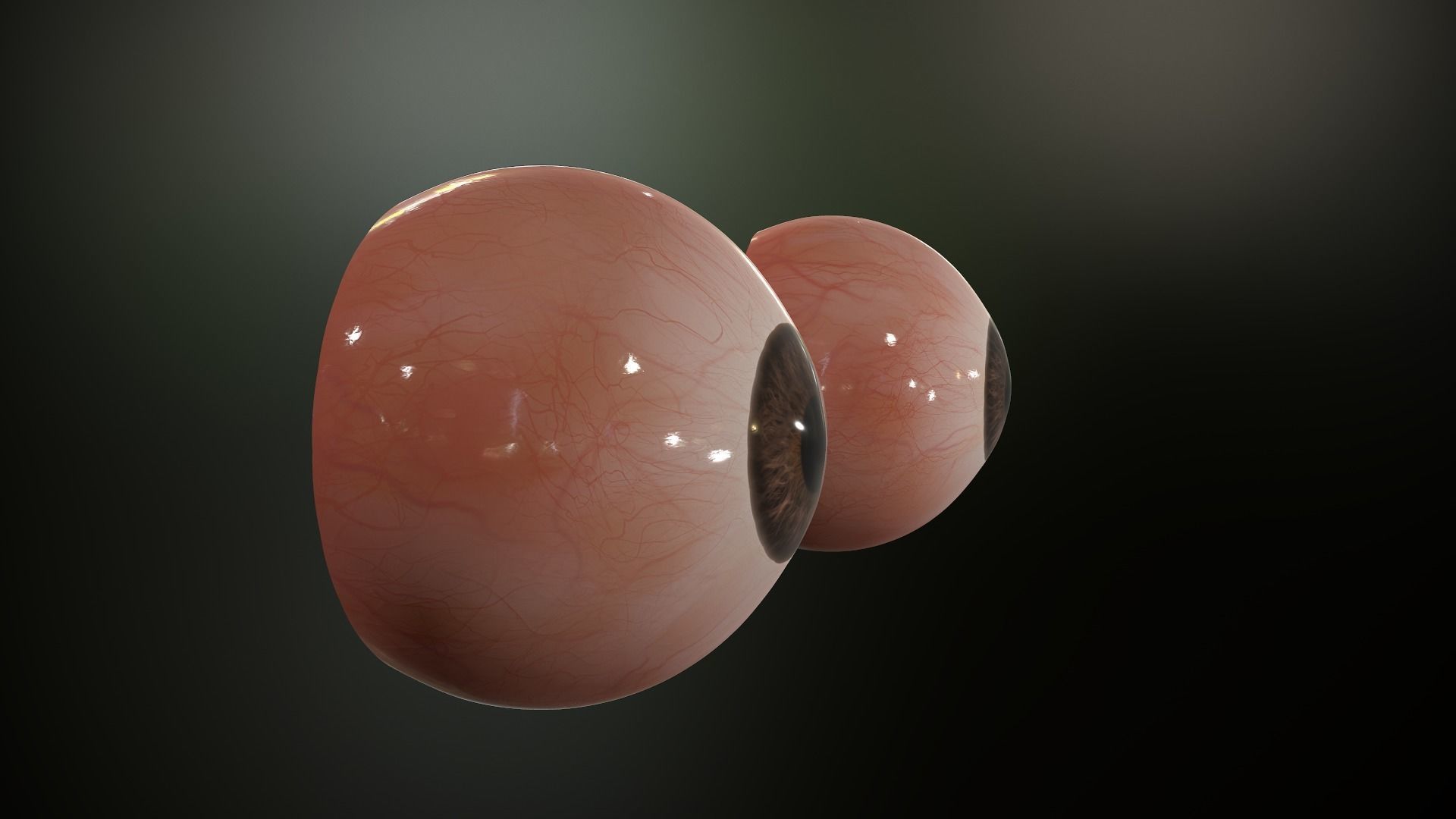 Realistic Human Eye Low-poly 3D model_11