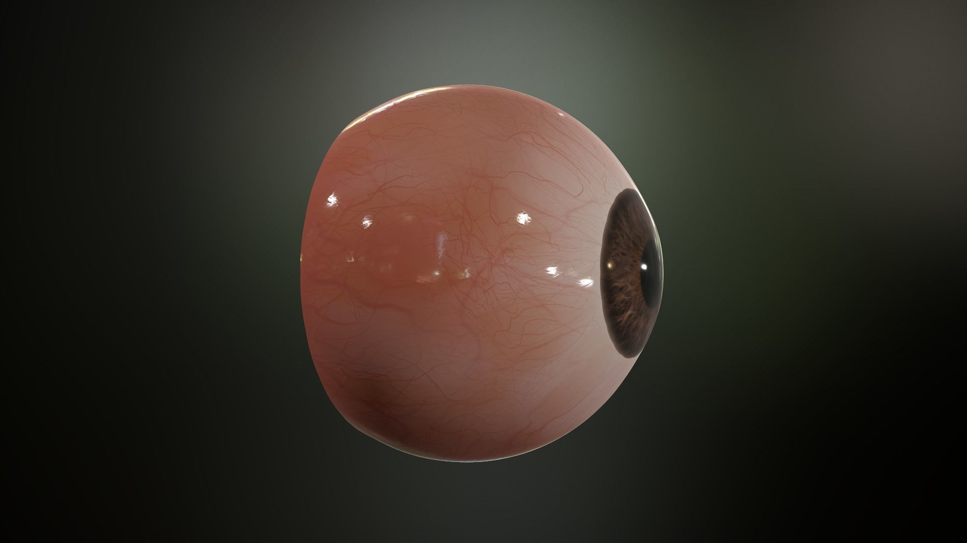 Realistic Human Eye Low-poly 3D model_27