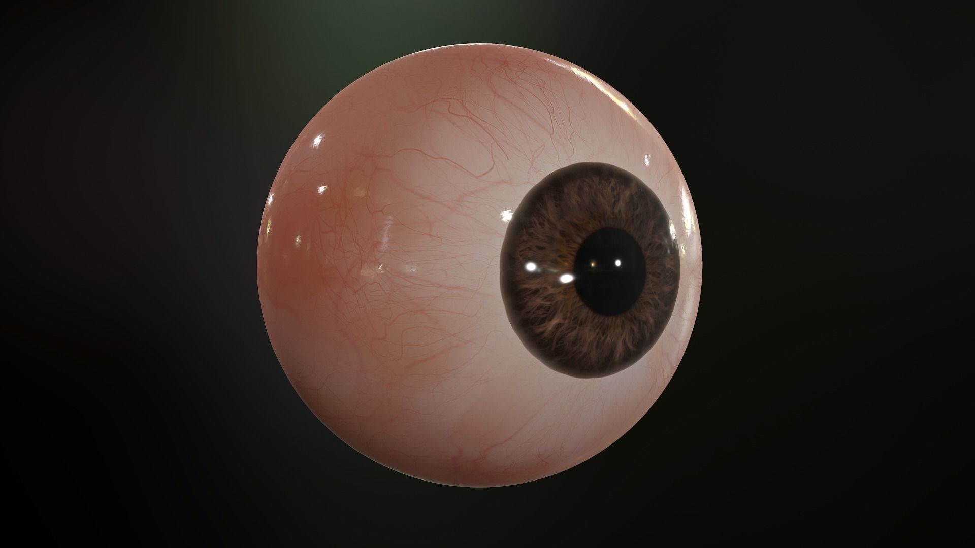 Realistic Human Eye Low-poly 3D model_2