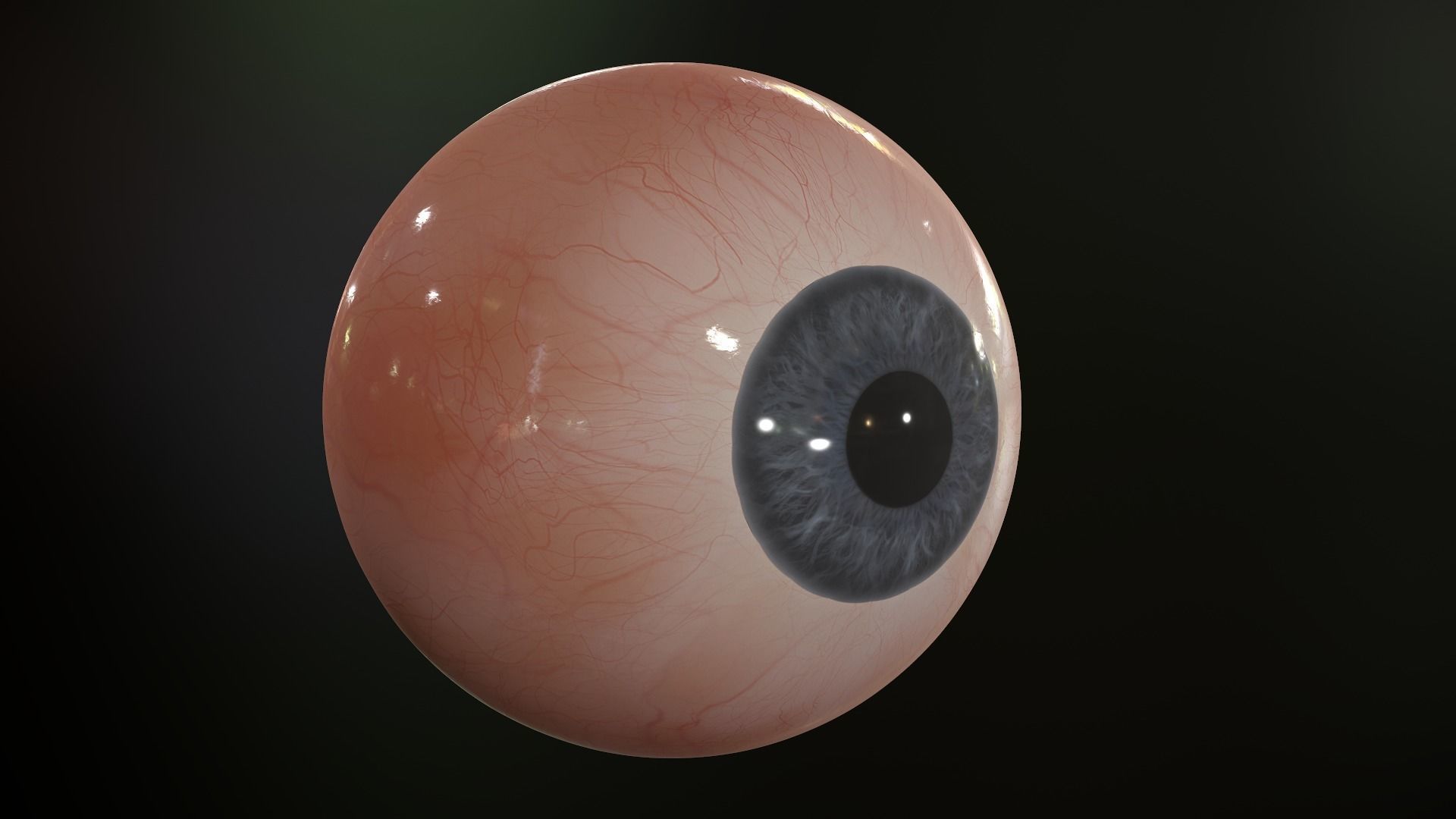 Realistic Human Eye Low-poly 3D model_3