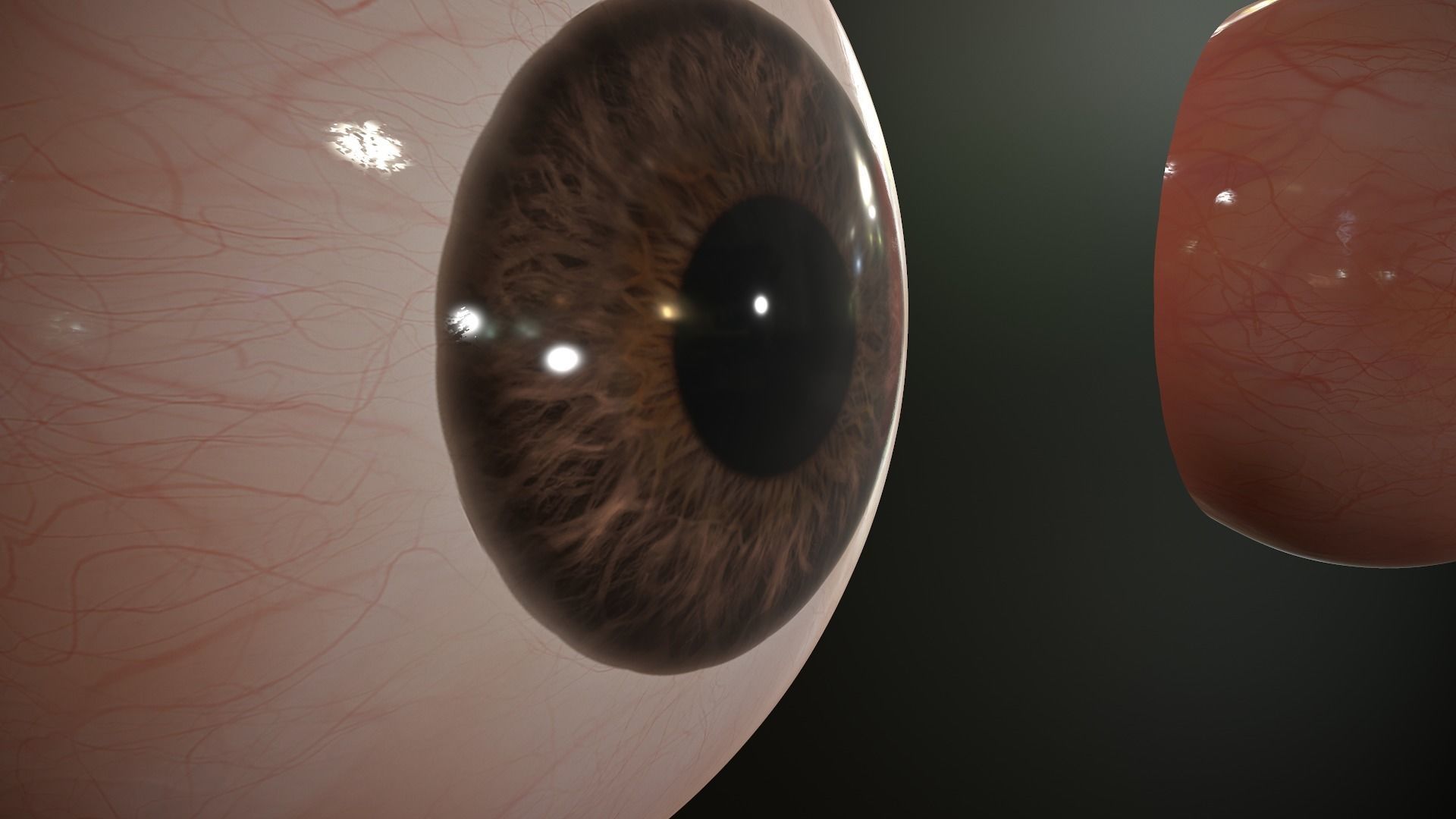 Realistic Human Eye Low-poly 3D model_13