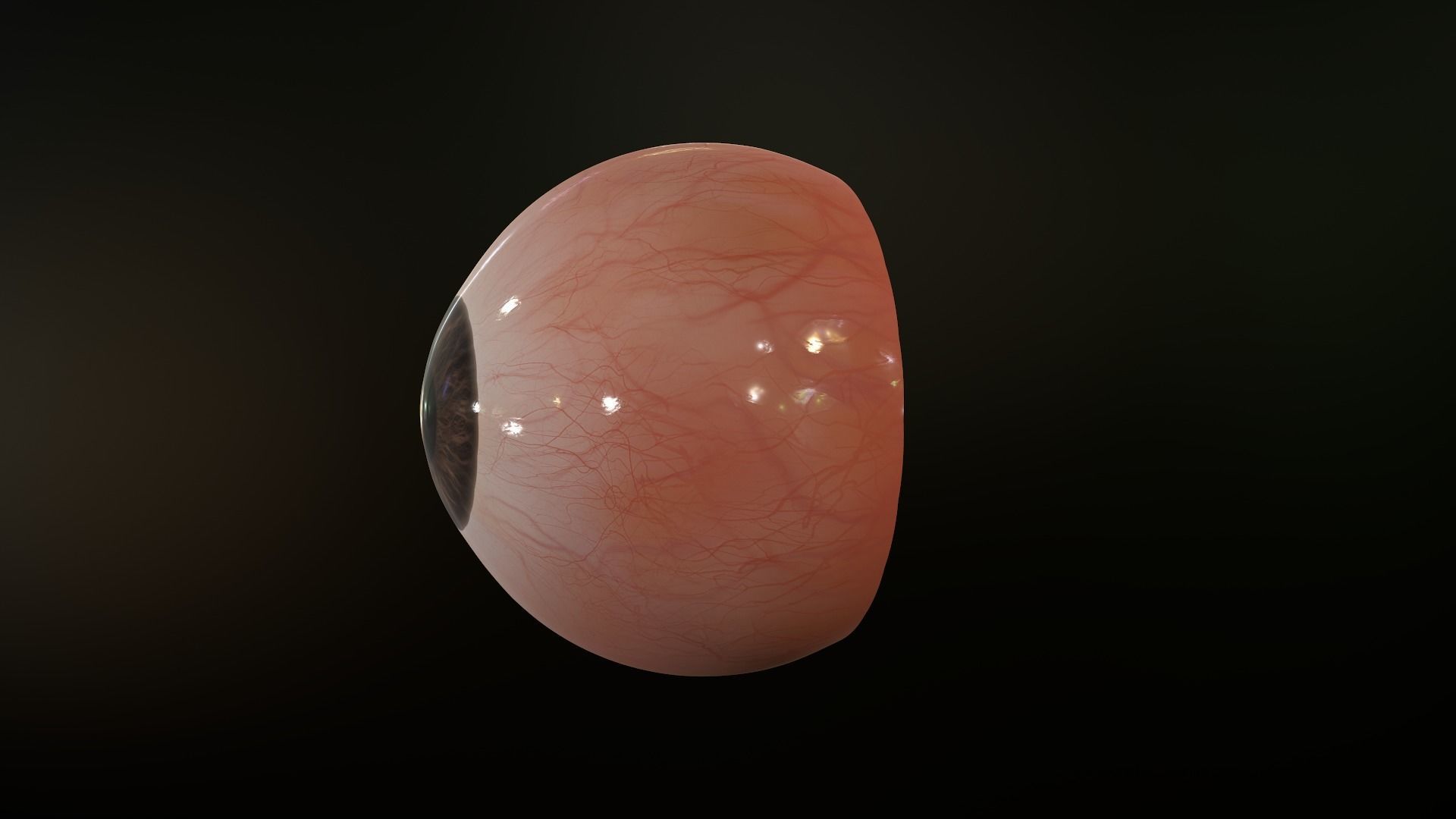 Realistic Human Eye Low-poly 3D model_23