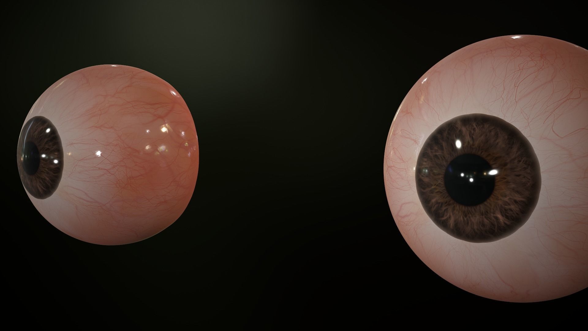 Realistic Human Eye Low-poly 3D model_10