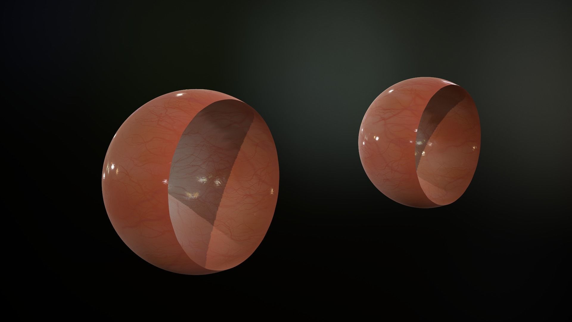 Realistic Human Eye Low-poly 3D model_7