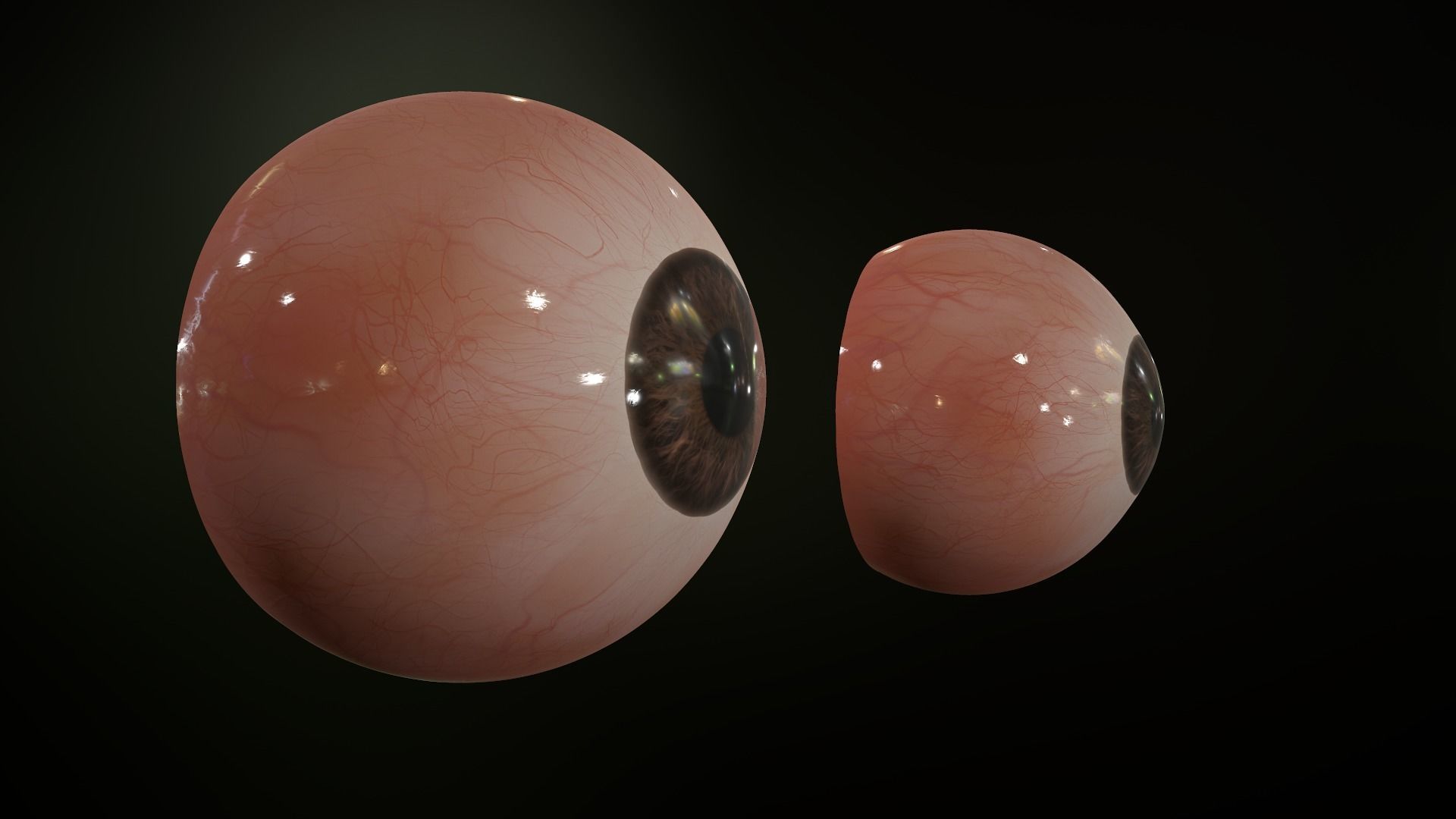 Realistic Human Eye Low-poly 3D model_17
