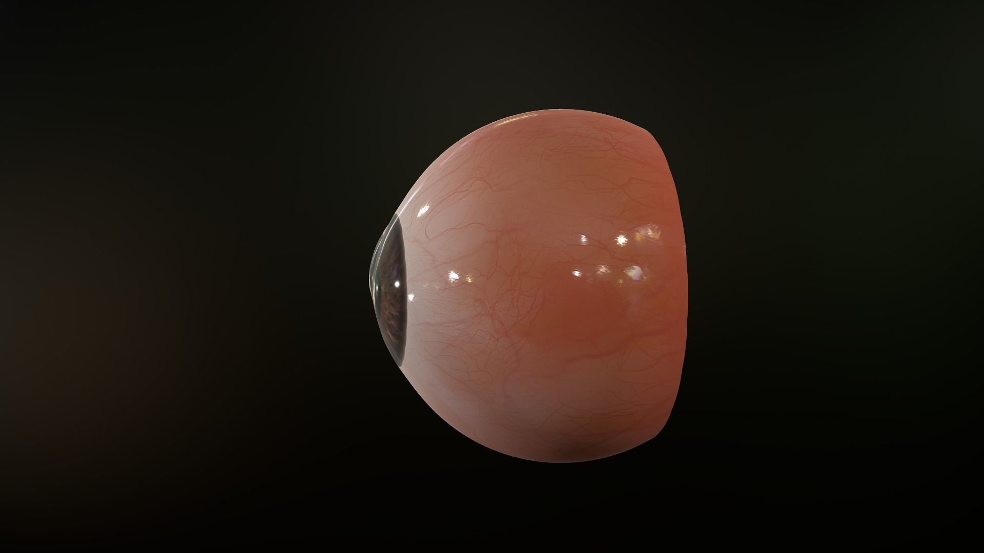 Realistic Human Eye Low-poly 3D model_6
