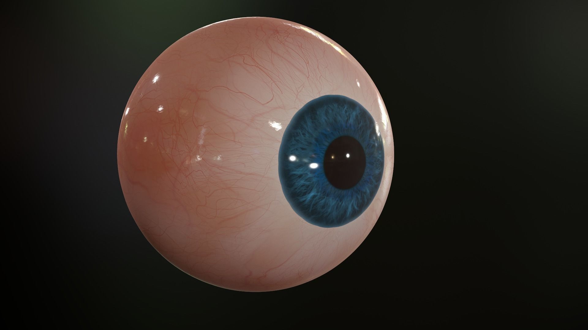 Realistic Human Eye Low-poly 3D model_4