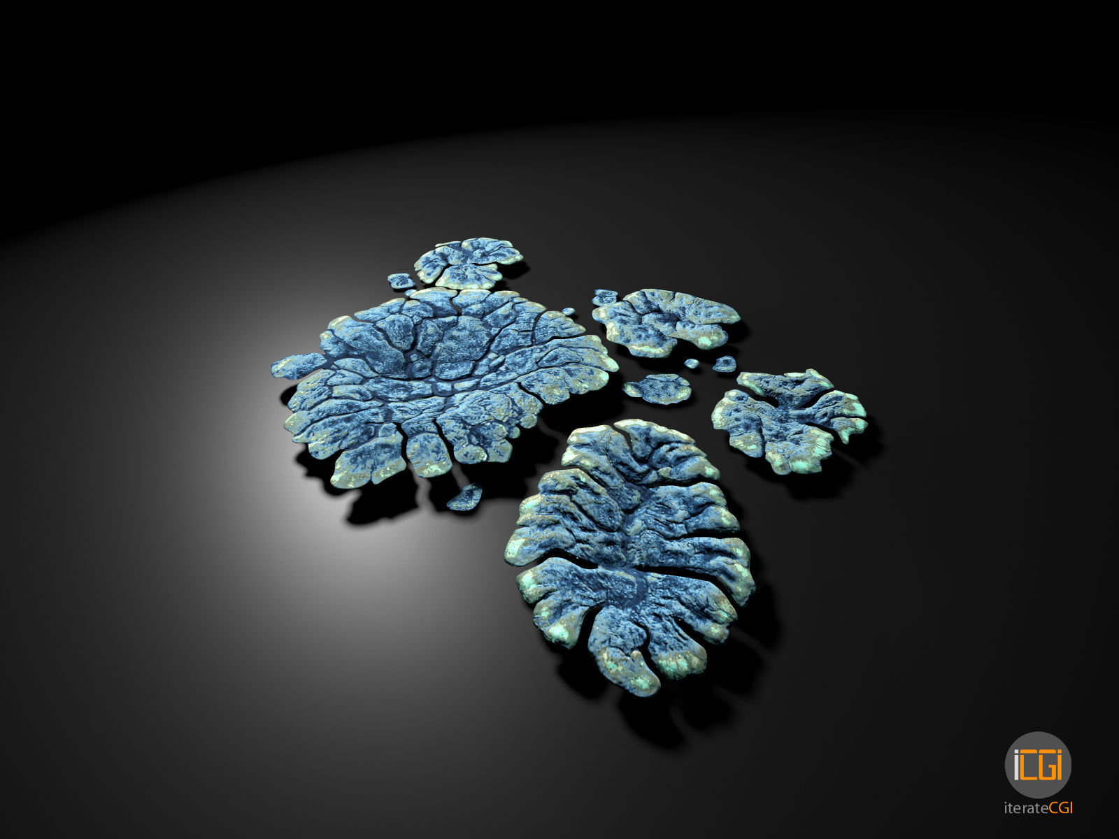 Alien Plant Lichen Type1 Low-poly 3D model_4